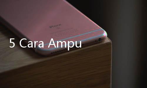 5 Cara Ampuh Mengusir Ular dari Dalam Rumah
