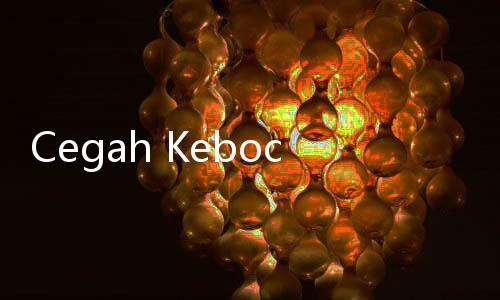 Cegah Kebocoran Data, WamenKomdigi akan Diskusi soal e