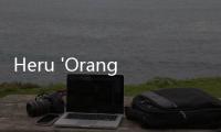 Heru 'Orangnya Jokowi' Kembali Otak