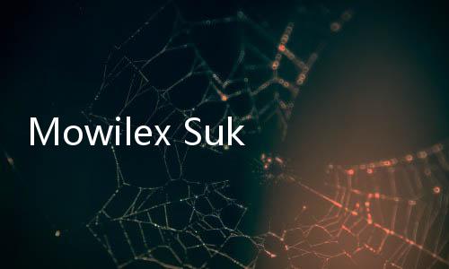 Mowilex Sukses Dapat Sertifikasi Perusahaan CarbonNeutral, Enam Kali Berturut