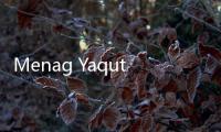 Menag Yaqut Pastikan Siswa Al Zaytun Akan Tetap Belajar