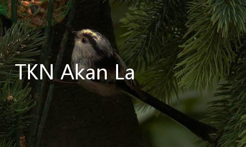 TKN Akan Laporkan Koran Achtung ke Polisi